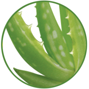 ALOE