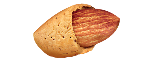 almond